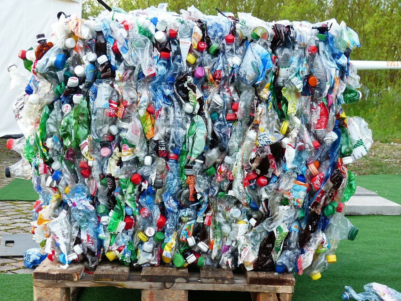 plastic bottles, bottles, recycling-115069.jpg